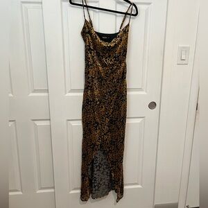 Burnout Velvet Dress